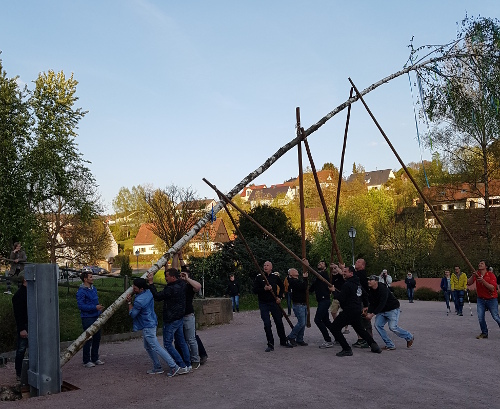 Maibaumaufstellung 2017 Bild 02