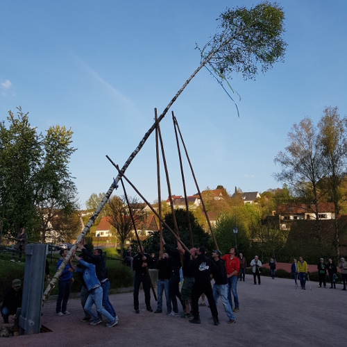 Maibaumaufstellung 2017 Bild 03